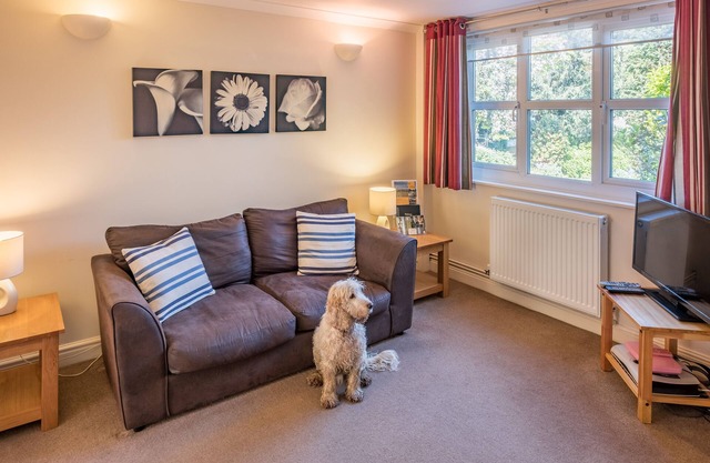 Luccombe Villa Holiday Apartments - The Den apartment