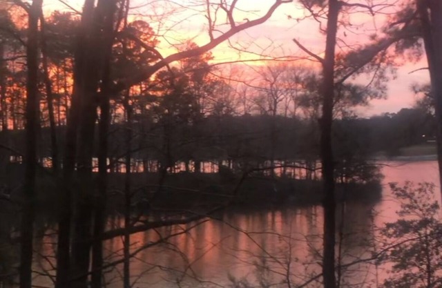 Lucky Dog Lakeside Cabin on Prentiss Walker Lake