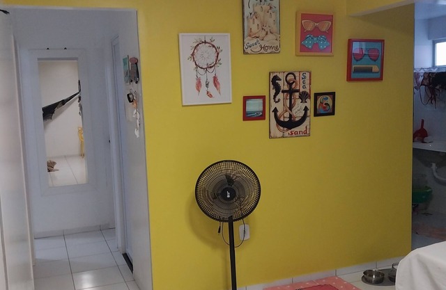 LUIS CORREIA/PI - PARAÍSO