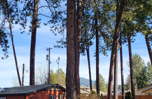 Lumberjack Bunkhouse...in the Heart of Coeur d'Alene, Idaho. Sleeps 8.