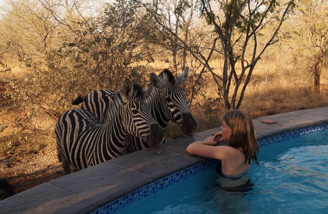 Luxe Afrikaanse bushvilla met verwarmd zwembad (grenst aan zuiden Krugerpark)