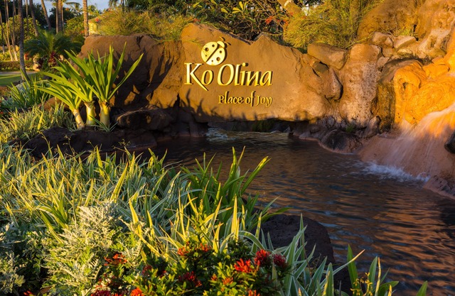 Luxurious Ocean View Condo - steps from the beach!