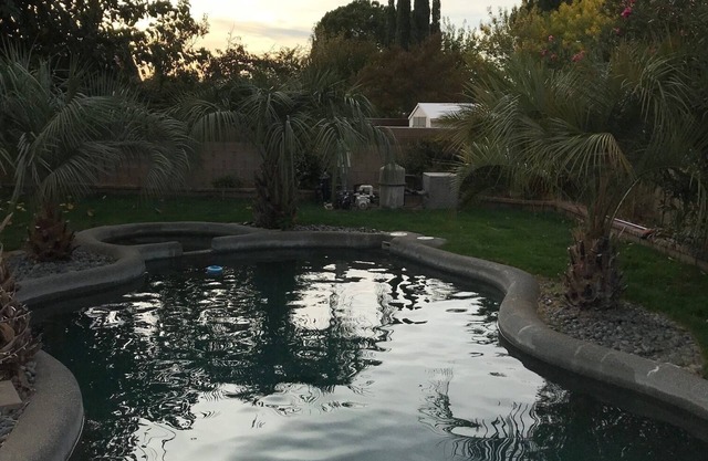 Luxurious Pool Home!