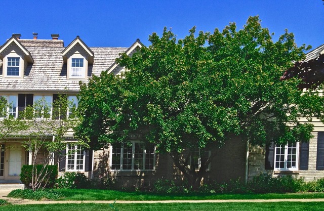 Luxury Estate Home 13 miles to DNC