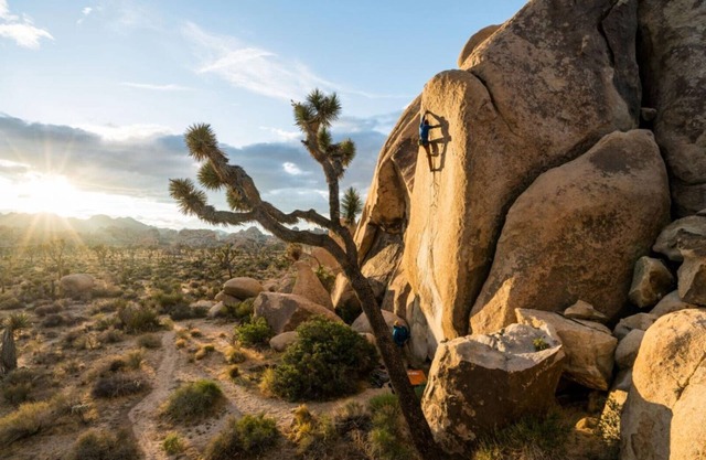 Luxury, Fun, and Family Bliss Await at Marriott’s Desert Springs Villas 2-Bd