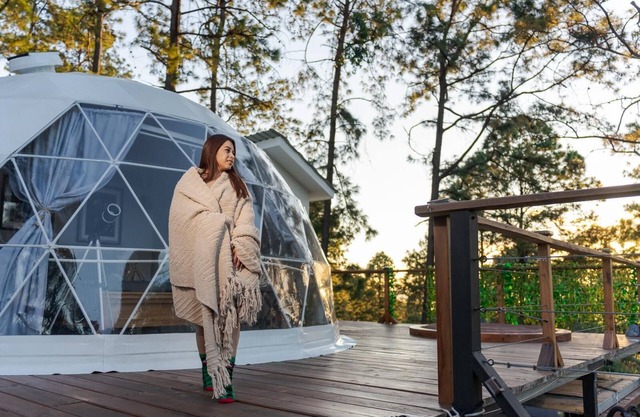 Luxury Geodesic Eco-Dome in Nature: Glamping in Tiny Pines - Terra Dome