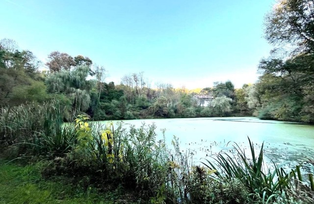 Luxury Hideaway at Serenity Acres