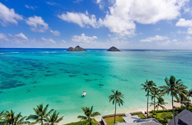 Luxury Kailua Getaway 4BR/2BA for Families/Pets