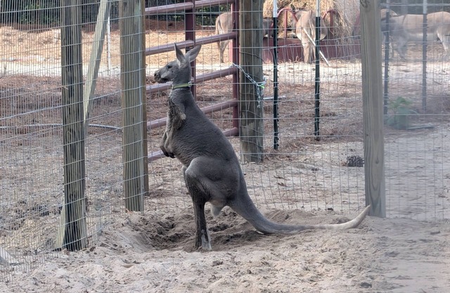 Luxury Lodging, Lakefront View, King Bed w/Private Bath, Private Patio, Full Efficiency Kitchen.