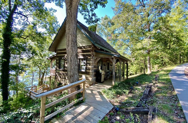 Luxury Log Cabin and 40 acres on Douglas Lake
