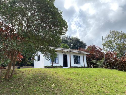 Luxury modern farm cottage with sea view