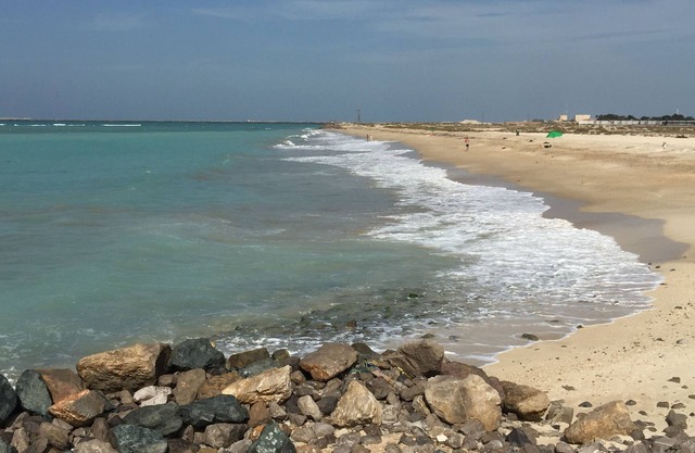 Luxury seaside apartment