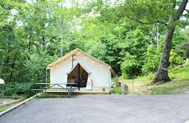 Luxury Spacious Glamping, Lake View, Grill, Pool, Pet Friendly, Swim