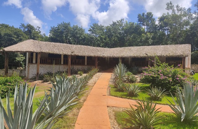 Luxury villa on organic farm surrounded by nature