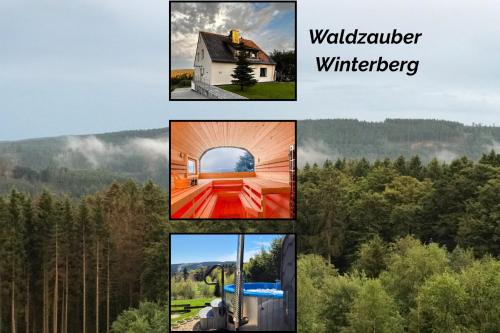 Luxus-Ferienhaus mit Sauna, Hot Tub und grandiosem Panorama