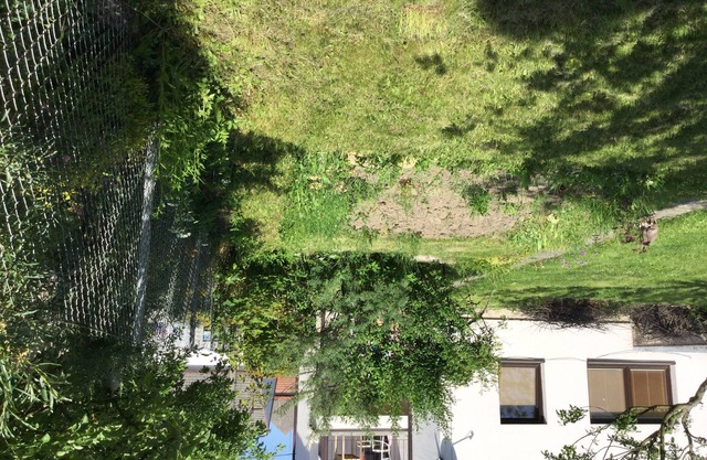 Lydiavi Apartments
