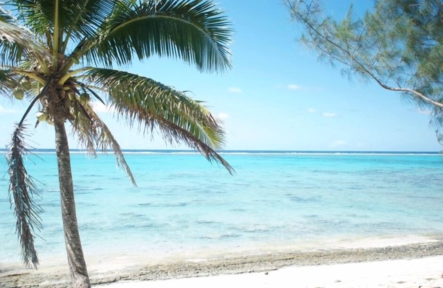 Mac's Shack - Titikaveka