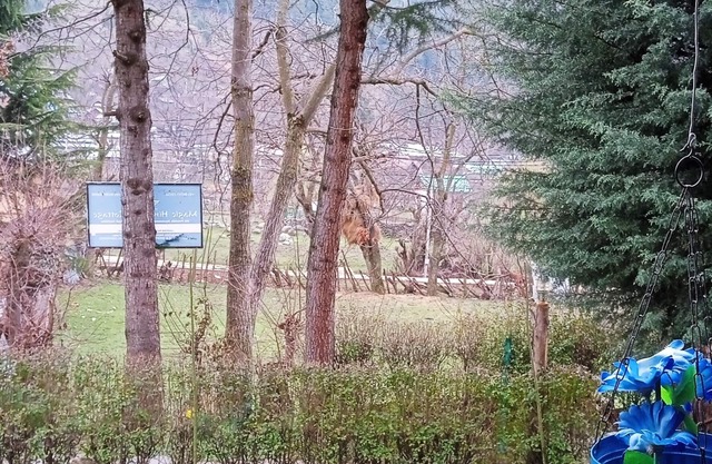 Magic Himalayan Cottage