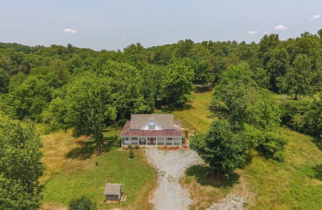 Magnolia In The Mountains