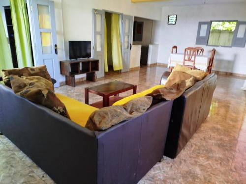 Maison 2 chambres avec jardin - Foulpointe