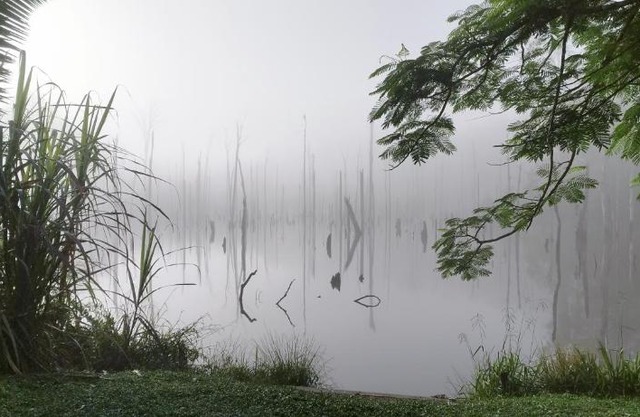 Maison en bord de rivière