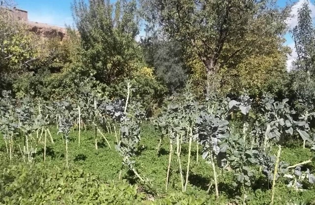 Maison d'hôtes Mogador chez habitants