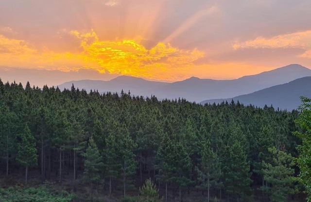 Majestic View Self Catering Guest House