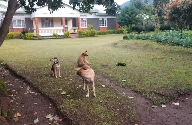 Make memories with the fam: Perfect vacation home. walking to top attraction.