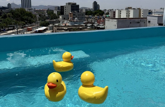 Mala Vecindad Centro Historico