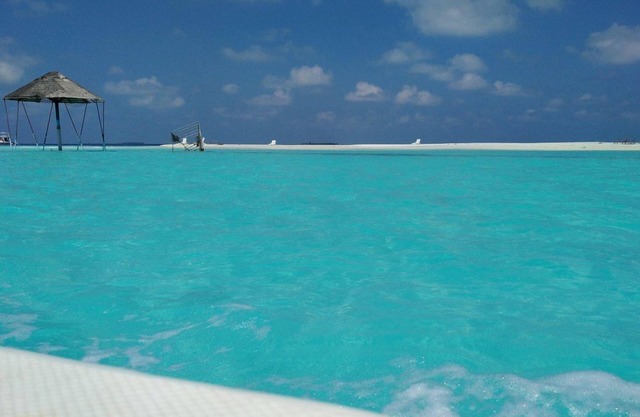 Maldives Dive Loabi