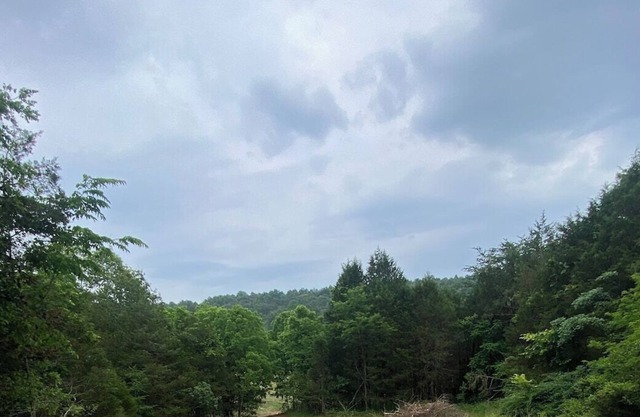 Mammoth Cave Campsite Bliss