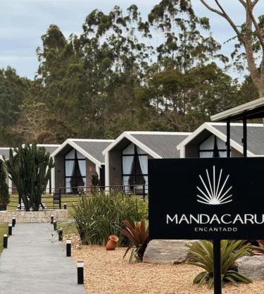 Mandacaru Encantado