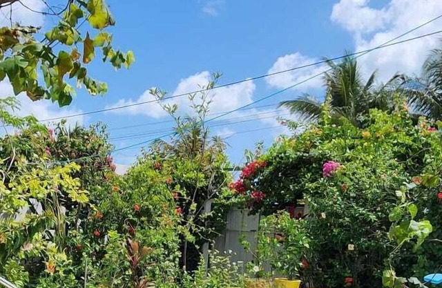 Mandala Dreams Pousada