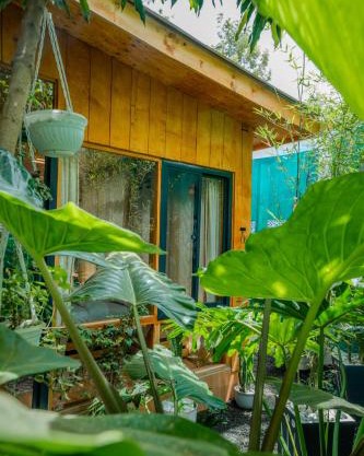 Mango Eco Cabin by Banana Farm