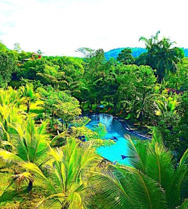 Manikgoda Tea Paradise New