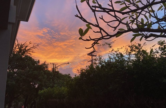 Manoa Cottage with Patios and Decks