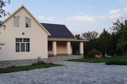 Mansion on the river