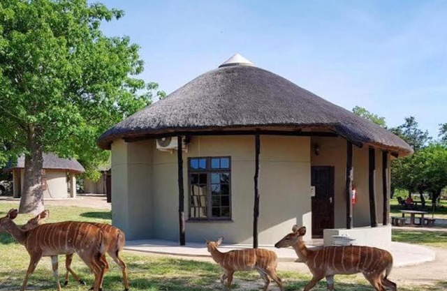 Manyeleti Big 5 Game Reserve