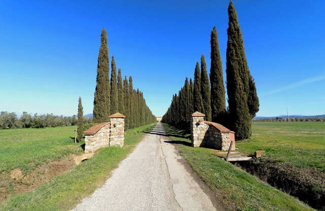 Maremma Holidays: Franciana Apartment