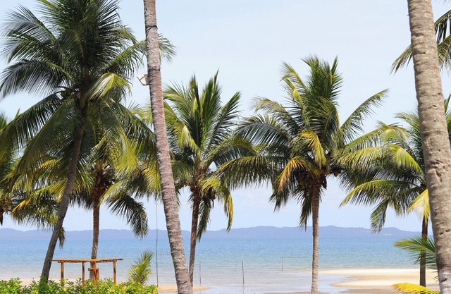 Marina Eco Hotel Praia da Fazenda