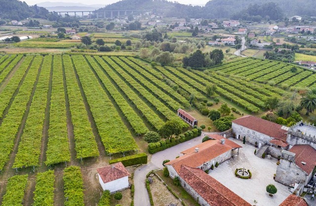 Medieval manor among vineyards for 12 guests. Large gazebo with barbecue and garden