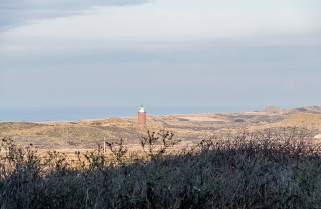 Meerblick. Gemütlich. Natur