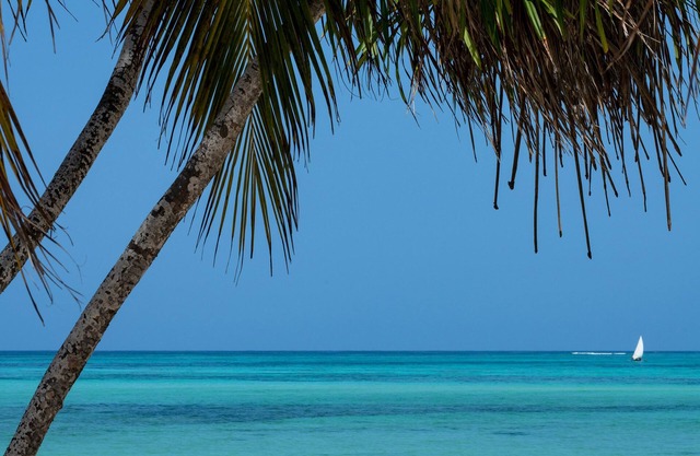 Melia Zanzibar