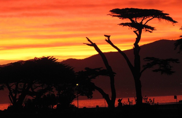 Mermaid Retreat, PET FRIENDLY, One Week Minimum Stay, Permit #0027