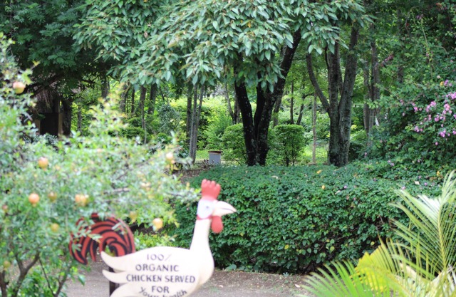 Meserani Oasis Lodge & Campsite