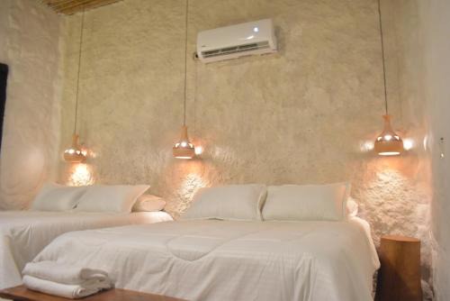 Michues raices ancestrales