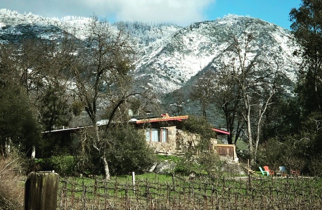 Mid-Mod Boutique Vineyard Guesthouse