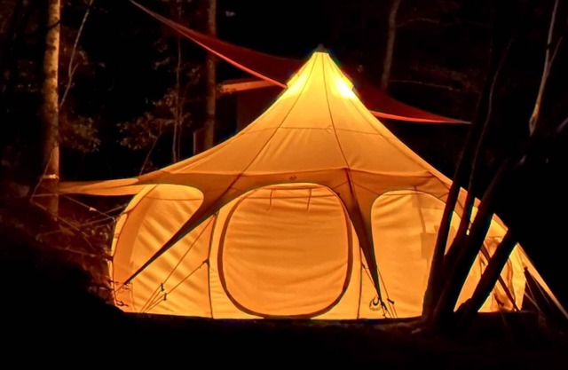 Mimosa Hill @ Wanderlust Woods