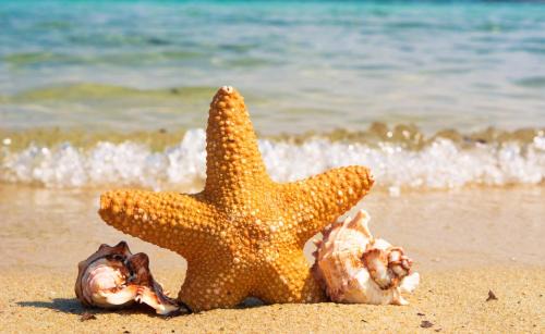 Mina Al Arab Apartment with pool and beach