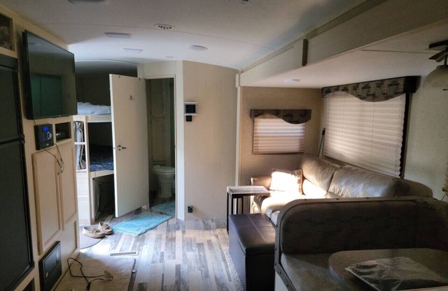 Minnie Winnie in the woods.